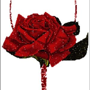 Meet your Posher, Ayan